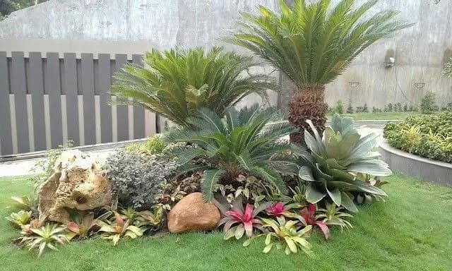 pembuat taman & menjual ragam tanaman hias Medan