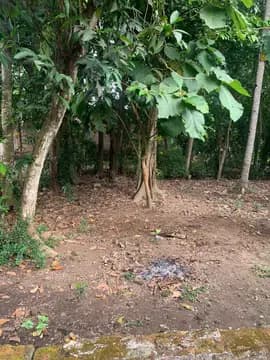 TURUN HARGA BESAR-BESARAN!BUTUH UANG CEPAT–TANAH 3