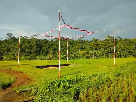Dijual Lahan Sawah SHM di Wonosobo 1