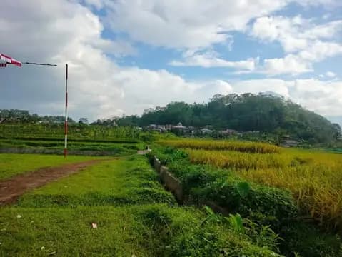 Dijual Lahan Sawah SHM di Wonosobo 4