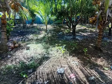 Dijual tanah di Ternate 2