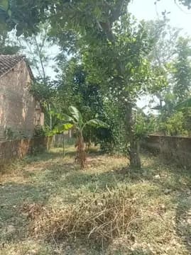 TANAH PEKARANGAN SHM – PIYUNGAN, BANTUL 3