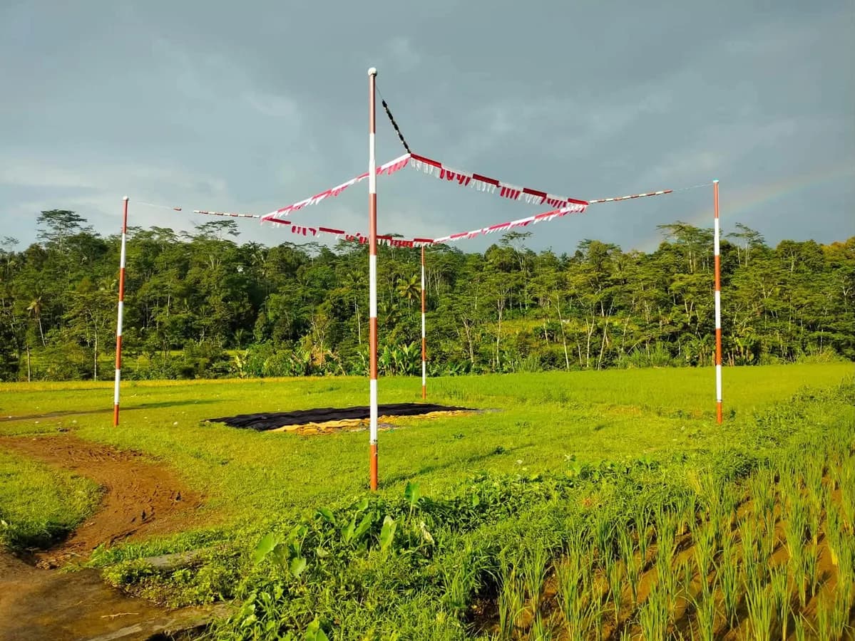Dijual Lahan Sawah SHM di Wonosobo