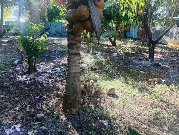 Dijual tanah di Ternate